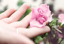 Sarah Brooke Shows Off Her Stunning Body in Concert at Wembley Arena